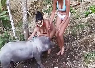 Outdoor bestiality porn